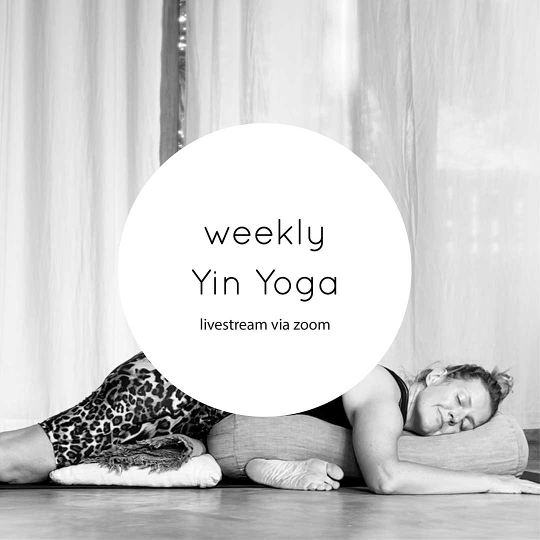 Online Yin Yoga jeden Donnerstag vormittag live via zoom oder via